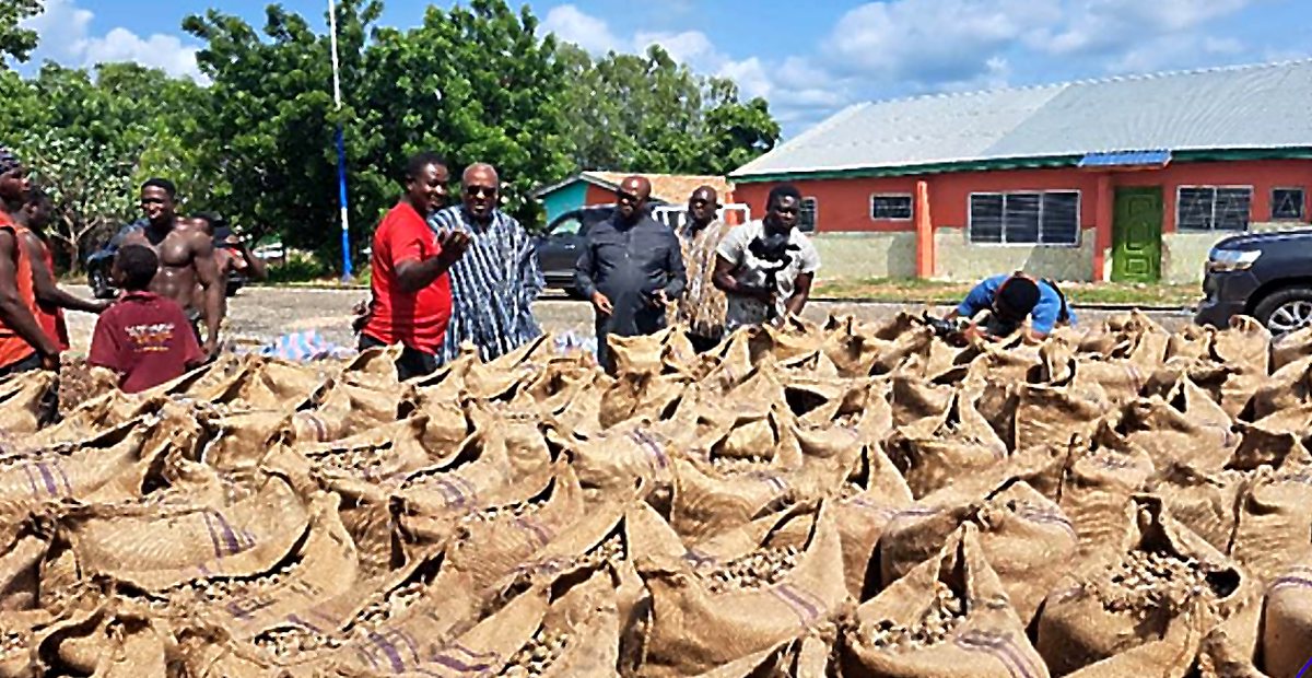 Bagged raw cashew nuts during the Bole warehouse visit