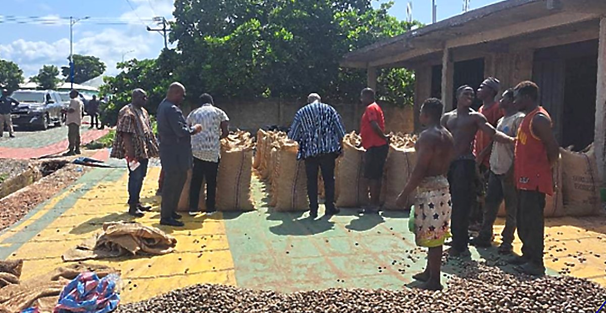 Inspecting bagged cashew at the warehouse