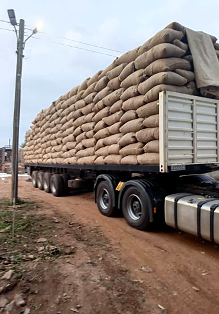 Truck loaded with bags of raw cashew nuts